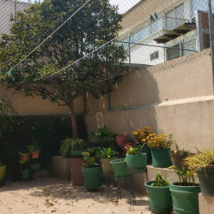 Casa_0002_WhatsApp Image 2023-09-26 at 11.01.10 AM