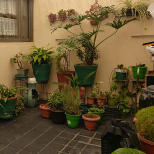 Casa_0024_WhatsApp Image 2023-09-26 at 11.01.00 AM